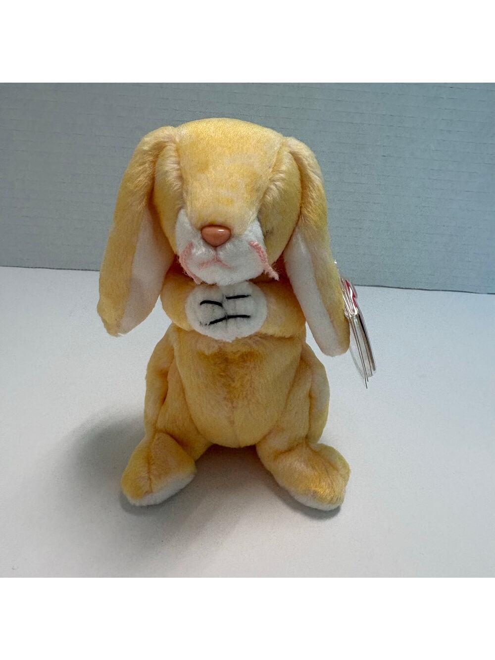 NWNMT “Grace” the Praying Rabbit